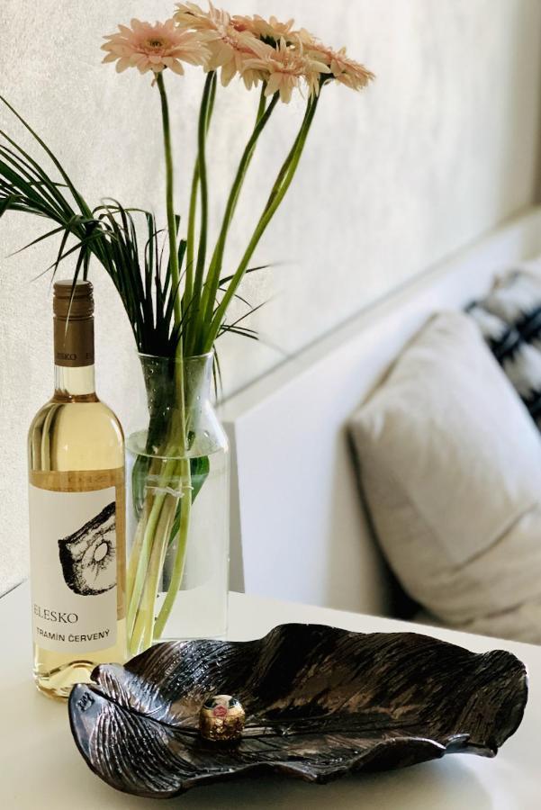 Cozy Apartment - Citycentre - Freeparking - Selfcheck-In Liptovský Mikuláš Εξωτερικό φωτογραφία